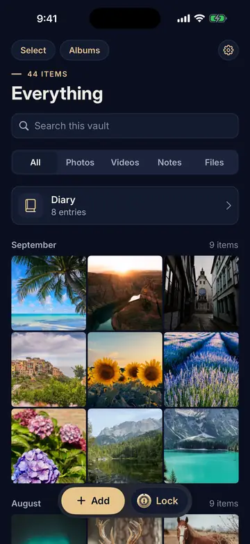 The vault grid, titled Everything, with a Diary row and photos grouped by month.