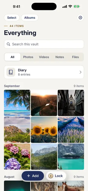 The vault grid, titled Everything, with a Diary row and photos grouped by month.